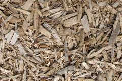 biomass boilers Ley